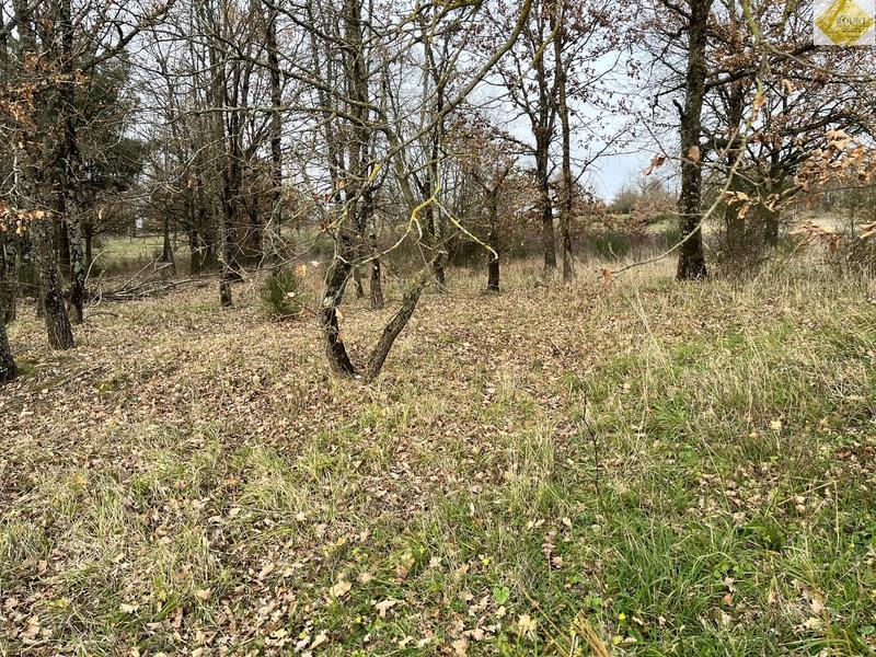 Terrain de loisirs - 4 930 m²