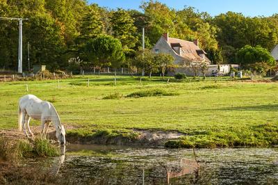 Maison - 167 m² - 7 pièces