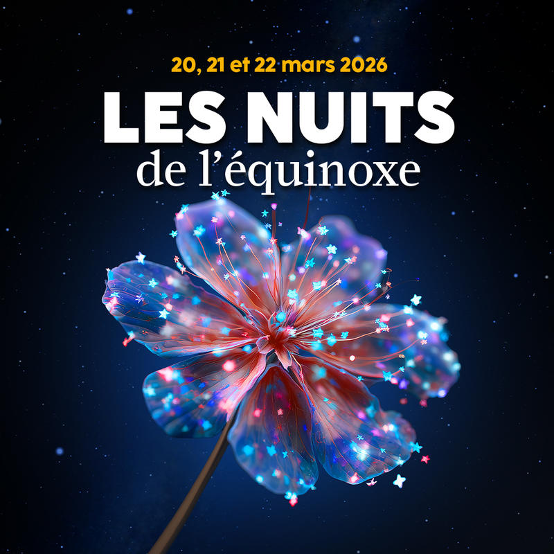 Nuits de l'Equinoxe : Balade étoilée