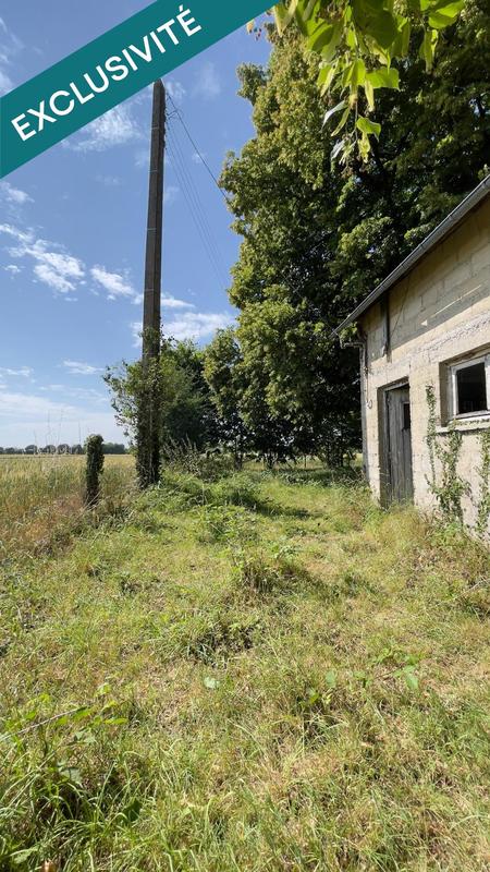 Terrain - 10 201 m²