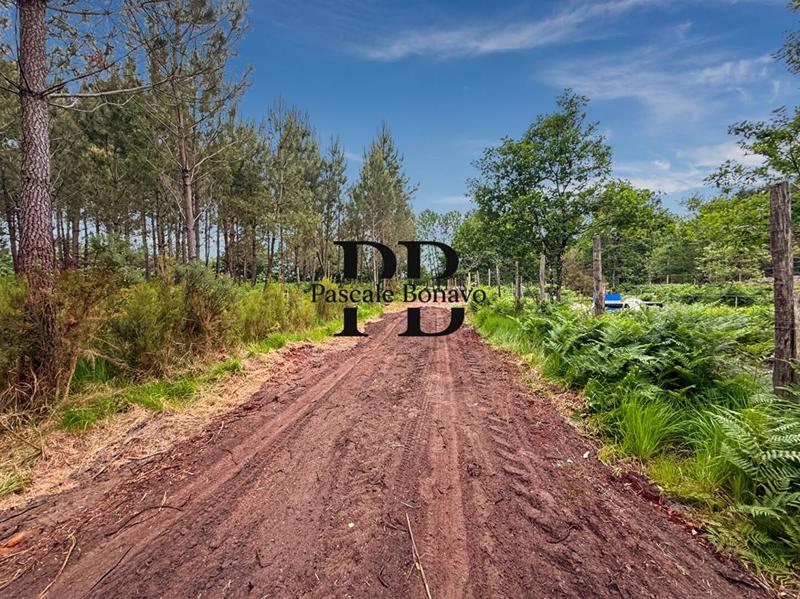 Terrain de loisirs - 2 327 m²