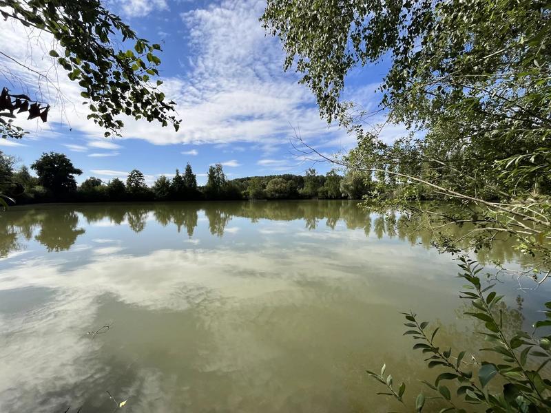 Terrain - 81 675 m²