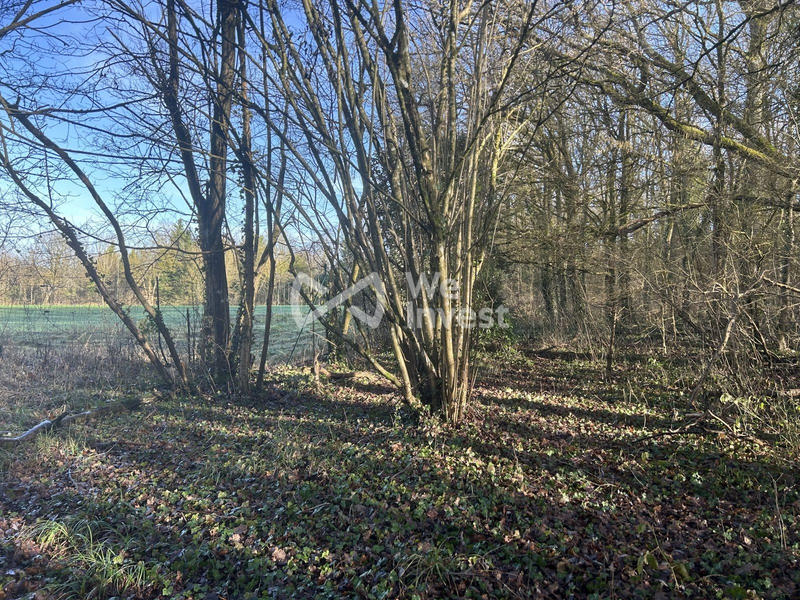 Terrain - 16 935 m²