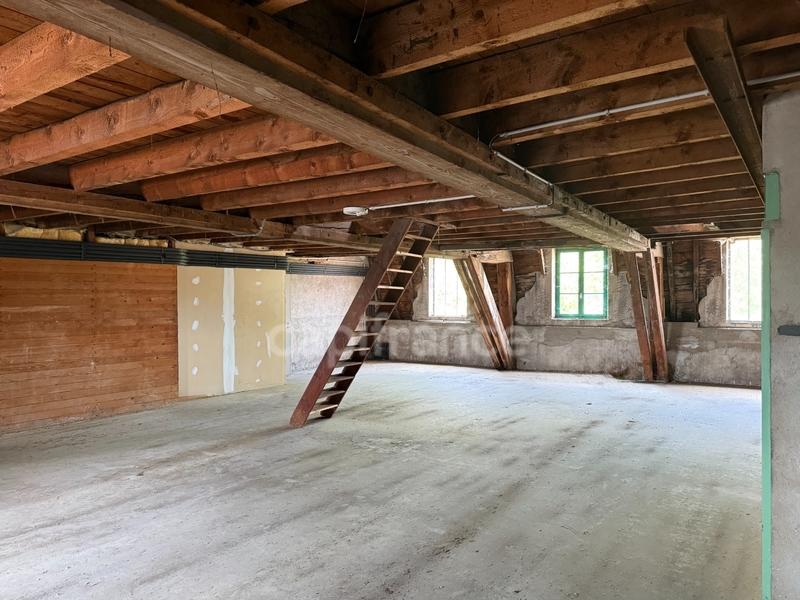 Maison bourgeoise - 596 m² - 5 pièces