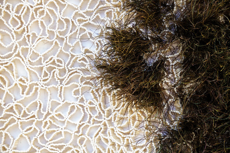 Saison d’art au Domaine Régional de Chaumont