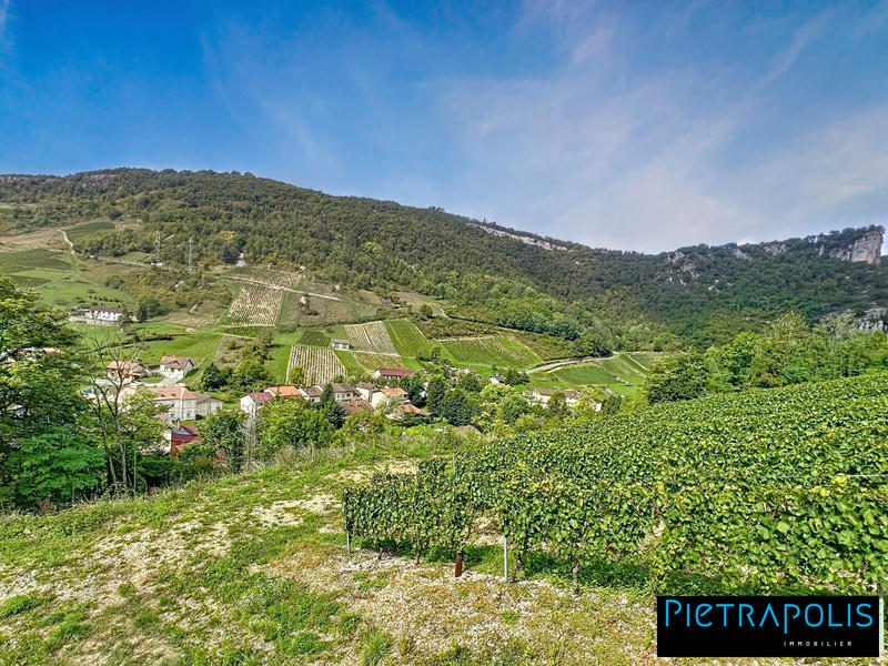 Maison - 268 m² - 10 pièces