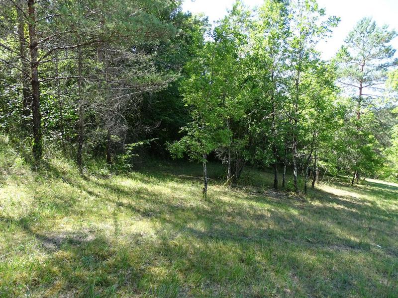 Terrain constructible - 5 770 m²