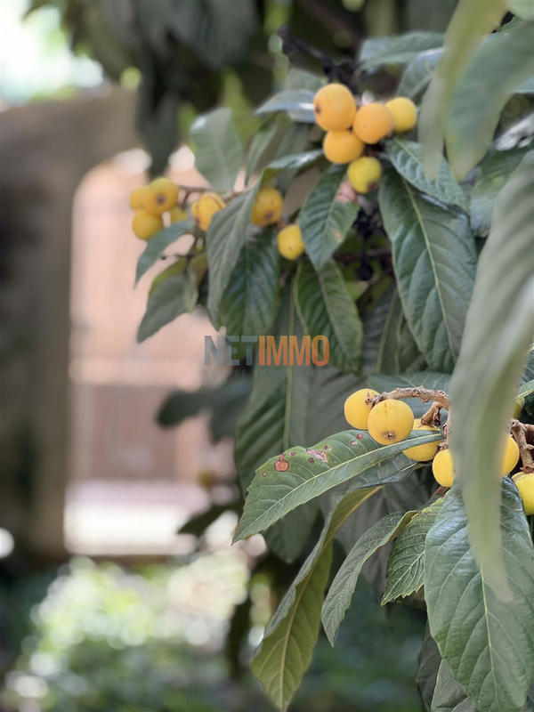 Villa - 172 m² - 5 pièces