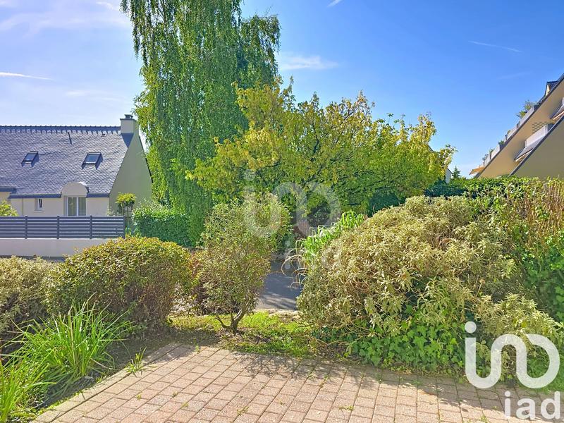 Appartement - 54 m² - 3 pièces