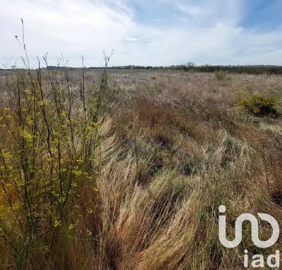 Terrain agricole - 6 635 m²