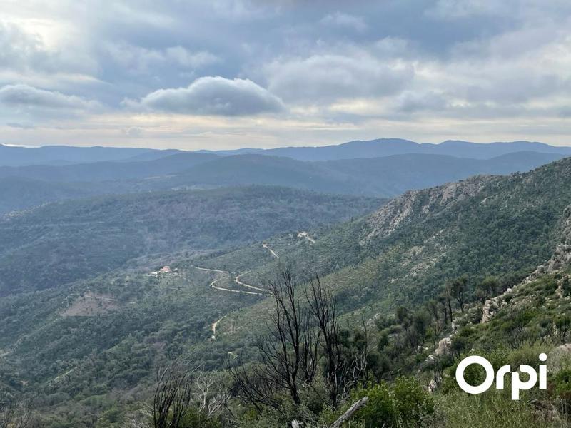 Terrain - 120 000 m²