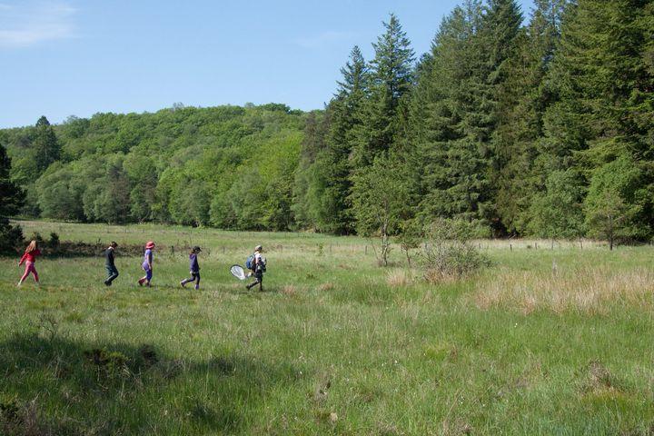Tourbière des Dauges : on se calme et on boit frais