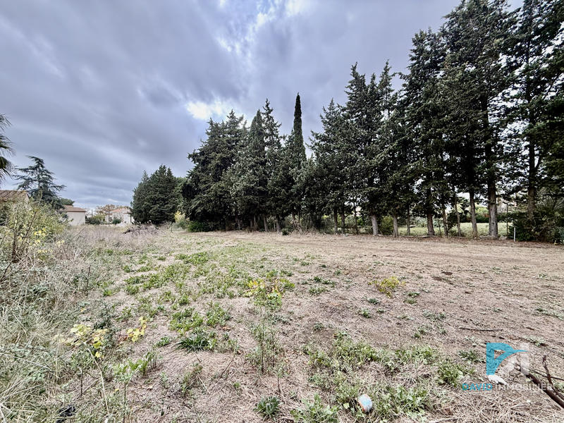 Terrain - 382 m²