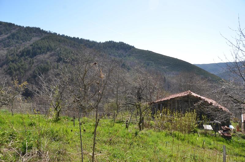 Ferme - 73 m² - 5 pièces