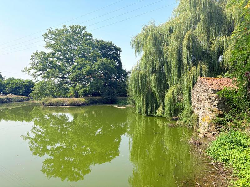 Maison - 145 m² - 7 pièces