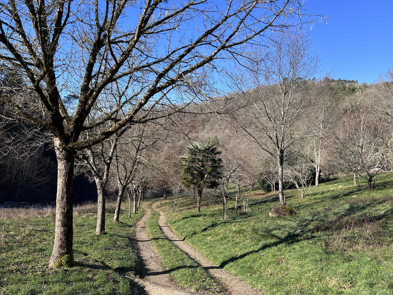 Propriété - 114 m² - 5 pièces