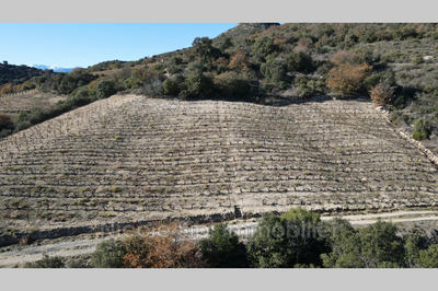 Terrain agricole - 6 890 m²