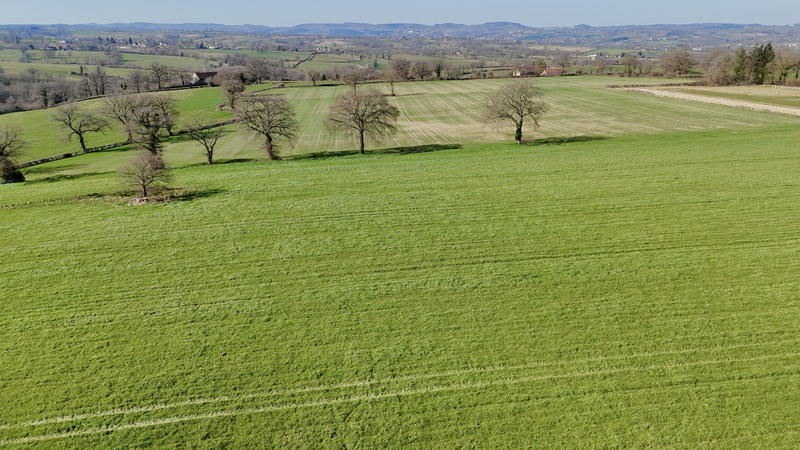 Propriété - 600 m² - 10 pièces