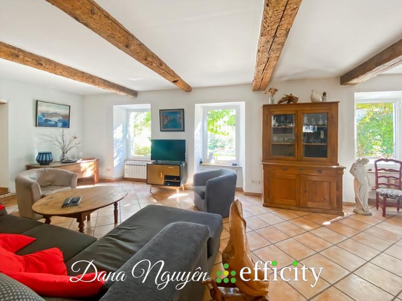 Mas - 259 m² - 9 pièces