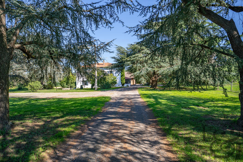 Maison - 250 m² - 13 pièces