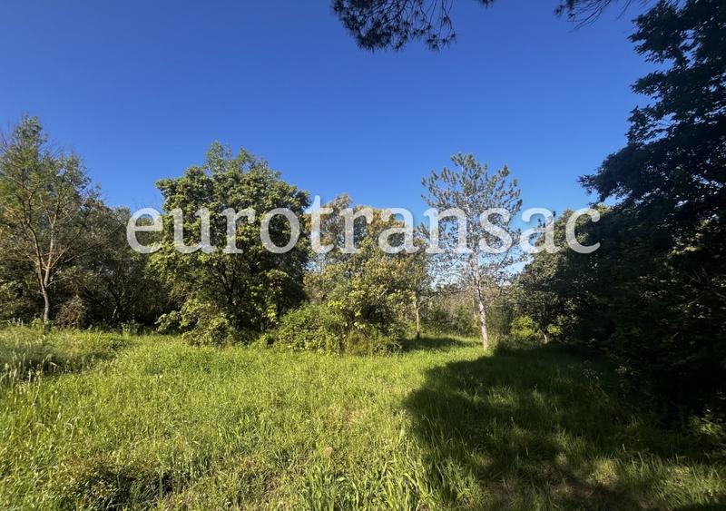 Terrain agricole - 11 480 m²