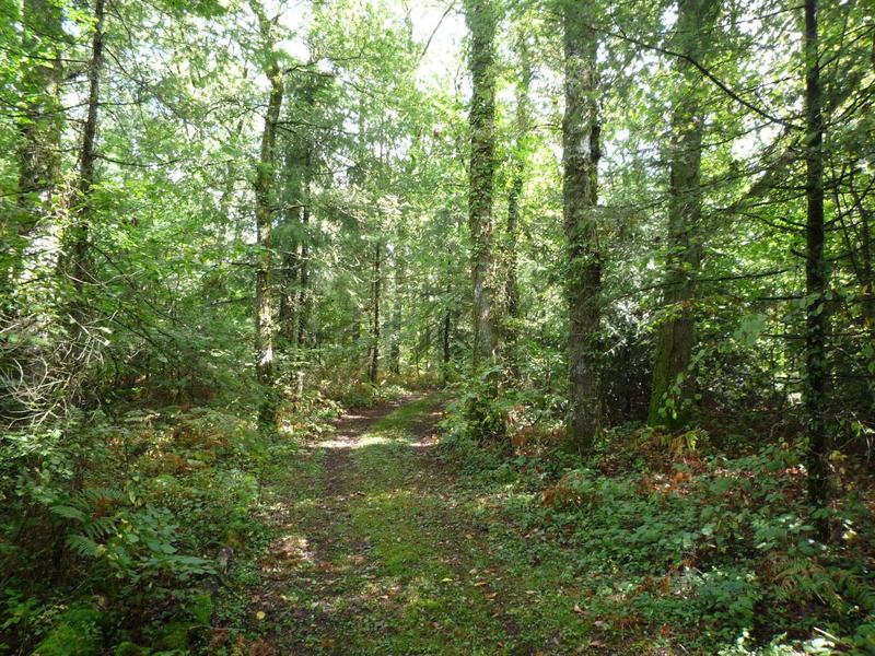 Terrain constructible - 41 380 m²