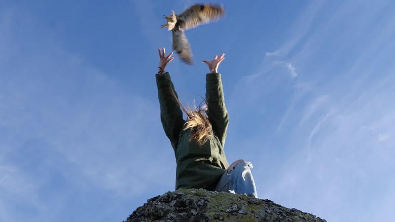 Cinéma Arévi : Animus Femina