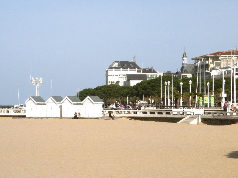 Studio - 30 m² - 1 pièce