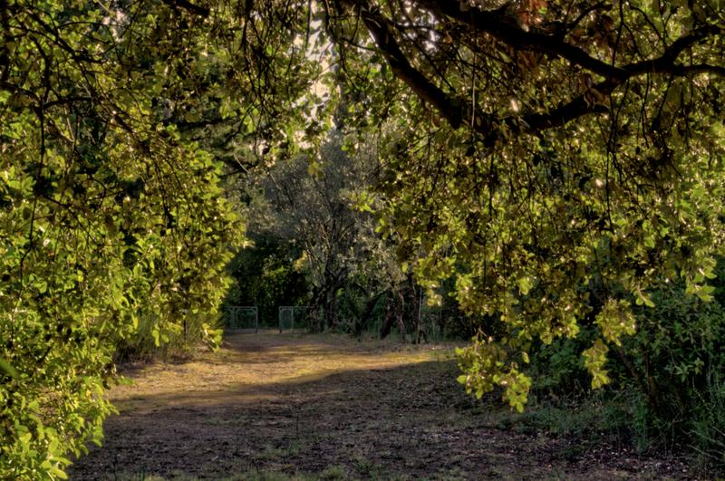 Maison - 67 m² - 3 pièces