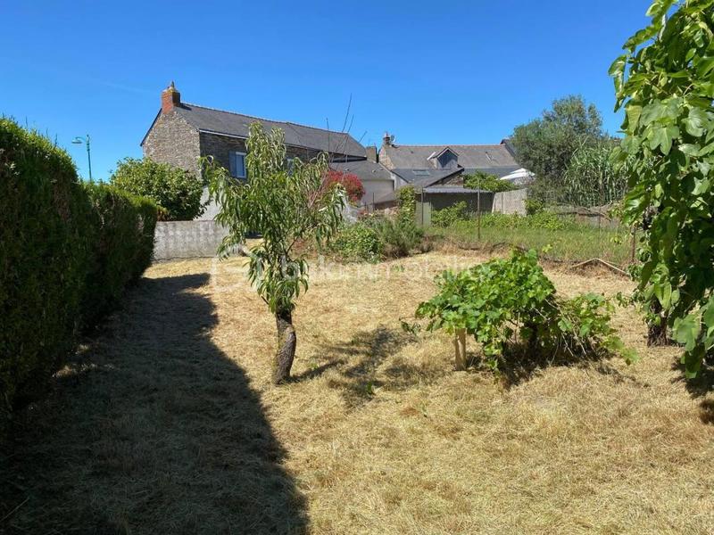 Maison en pierre - 84 m² - 3 pièces