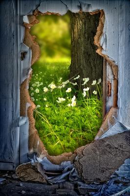 Association un Autre Regard