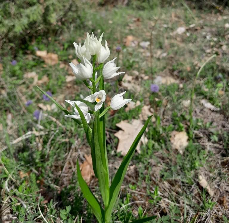 Le sentier des 5 sens au Domaine les Hauts de Riquets balade gourmande