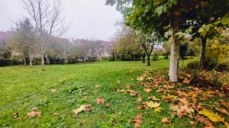 Maison - 447 m² - 8 pièces