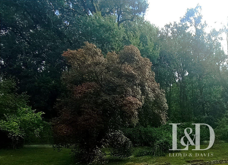 Terrain de loisirs - 11 186 m²