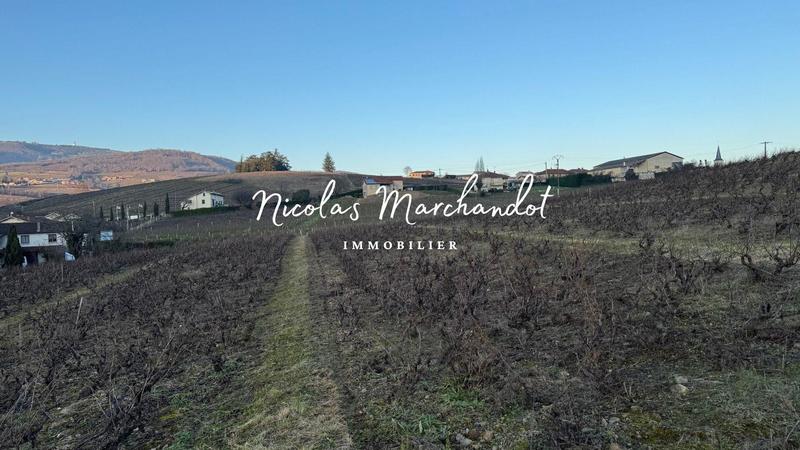 Local commercial - 130 900 m²