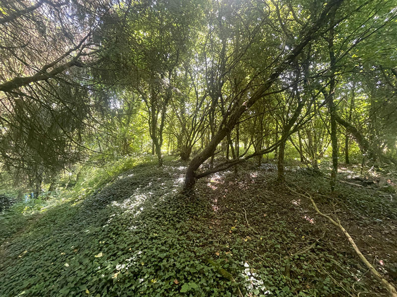 Maison - 115 m² - 6 pièces