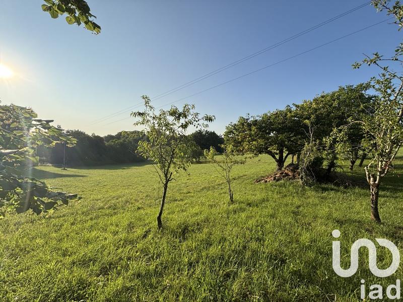 Maison de campagne - 81 m² - 3 pièces