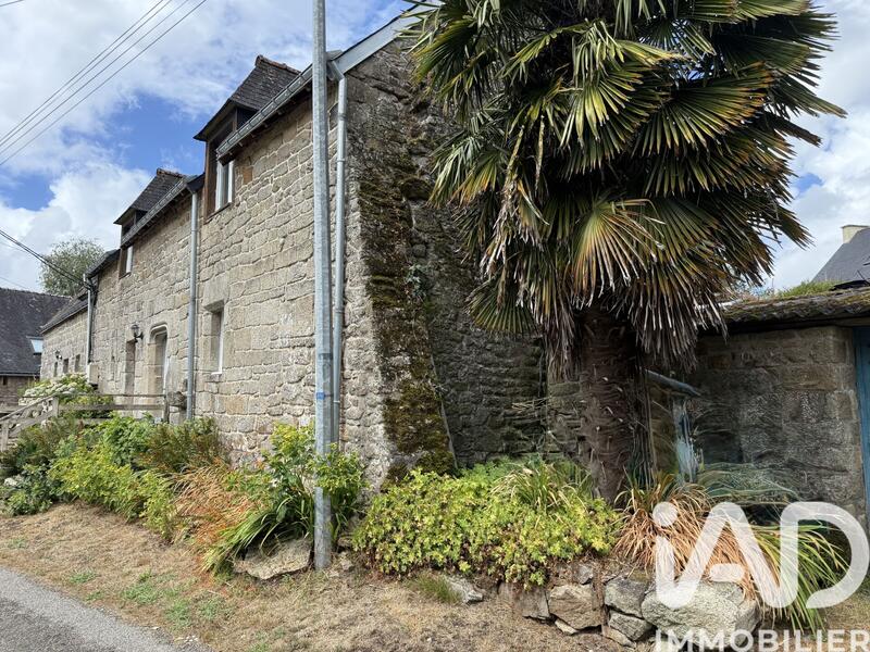 Maison de campagne - 100 m² - 5 pièces