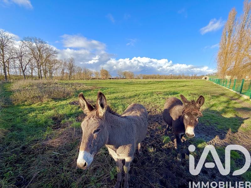 Maison - 173 m² - 7 pièces