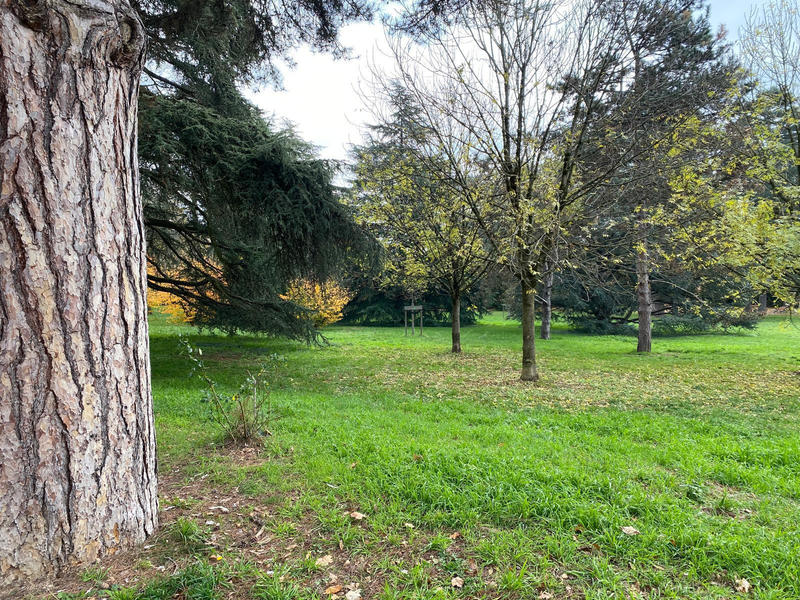 Appartement - 108 m² - 5 pièces