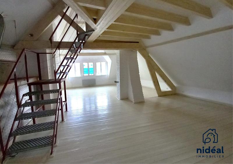 Loft - 45 m² - 2 pièces