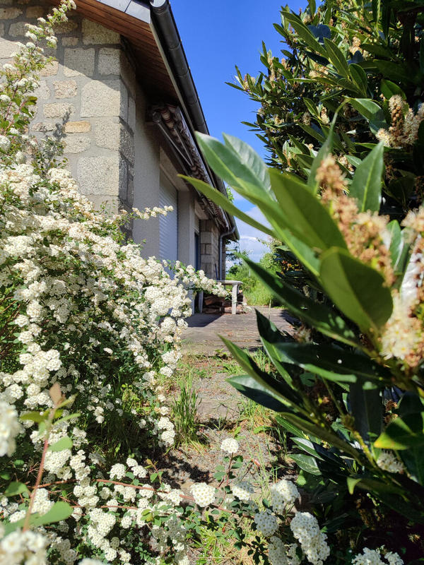 Maison - 230 m² - 7 pièces