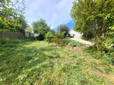 Terrain - 440 m²