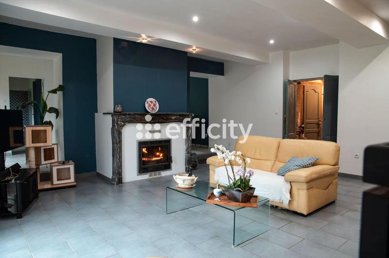 Château - 230 m² - 9 pièces