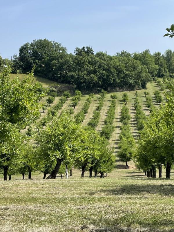 Propriété - 1 pièce