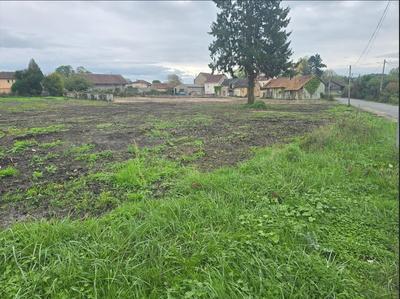 Terrain constructible - 7 649 m²