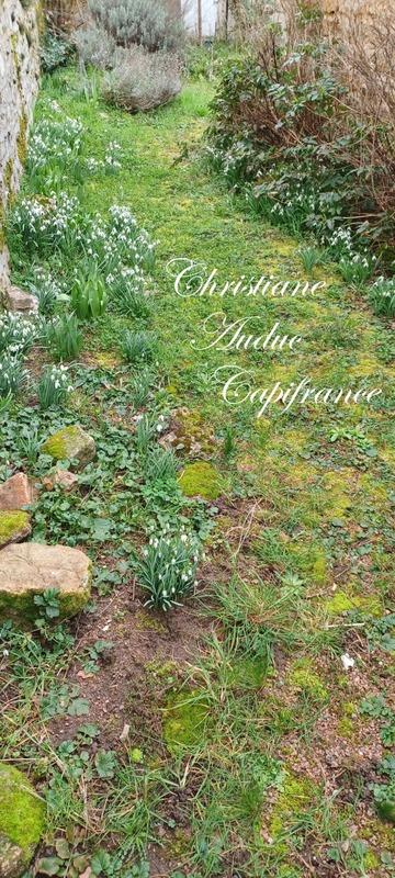 Maison - 144 m² - 8 pièces