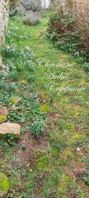 Maison - 144 m² - 8 pièces