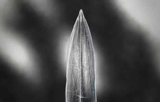 Exposition : la Furie et la foi