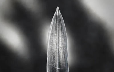 Exposition : la Furie et la foi